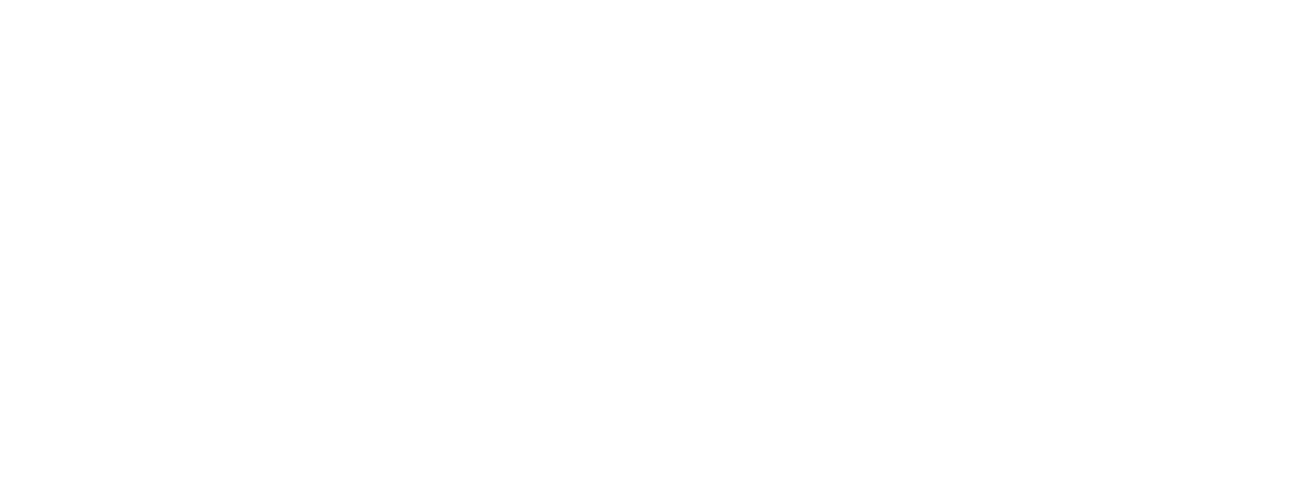 Primary Dental